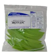 100pk Gateway Feathers 3" Right Wing: Parabolic Chartreuse Green 300RPSCH-100