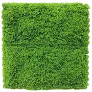 Fresh Natural Green Artificial Moss / Green Wall UV Resistant 1m x 1m