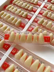 Acrylic Resin False Teeth Accu-tone Anterior Upper A3/67-4P dentures box 120pcs