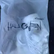 New! Scary Halloween Michael Myers Mask 2024 Trick or Treat In Stock!, Gray