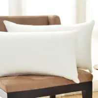 在飛比找momo購物網優惠-【Cozy inn】抗菌透氣健康枕(2入)