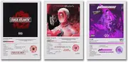 Chase Atlantic Poster Rock Band Music Album Cover Poster A Set of 3 Canvas Posters Room Aesthetic Festival Family Bedroom Decor Wall Art Home08x12inch(20x30cm)-3pcs Style