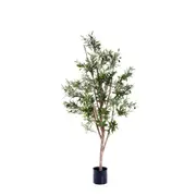 [Florabelle Living] Olive Tree 1.5m