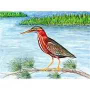 Green Heron II Door Mat 30x50