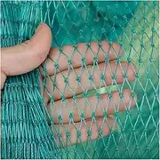Heavy Garden Net Anti Bird Netting Fence Mesh Crops Protection Net Anti Birds Deer Cat Dog Chicken Net Fishing Net Customizabl (Color : 12 Shares Mesh 3CM, Size : 2Mx 10M)