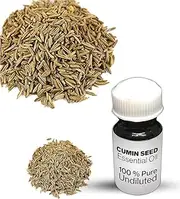 Cumin Seed Essential Oil / 100% Pure Cumin Seed Undiluted Essential Oil Premium Quality (10 ML, NATURAL)