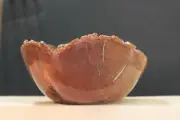 Chinese Tallow bowl., hand made, lathe turned, wood.