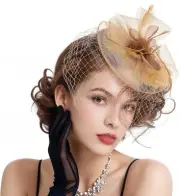 Fascinators Hats for Women Flower Mesh Ribbons Feathers on a Headband