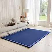Kid's Coral Velvet Play Mat Area Rugs, Thick Carpet Crawling Mat Modern Soft Area Rug for Nursery Baby Toddler Children Kids Room, Yoga Mat Exercise Pads (Deep Blue, 80x200cm)