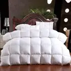 Winter Warm Quilts Duvet Insert Blanket Filler 220*240 Goose Down Comforter