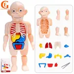 KIDS MONTESSORI 3D PUZZLE HUMAN BODY ANATOMY MODEL LEARNING