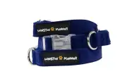 Winston Manner Designer Dog Collar in Royal Blue