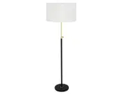 Albus 1 Light Floor Lamp in Brass/Matte Black