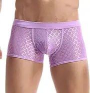 [Generic] Mens Boxer Shorts See Throuh Hipsters Trunk Breathable Mesh Boxers Soft Stretch Boxer Briefs Athletic Trunks Shorts