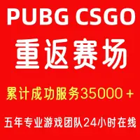 在飛比找露天拍賣優惠-【全場免運】【快速出貨】 Steam賬號絕地求生PUBG吃雞