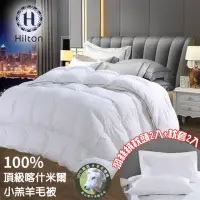 在飛比找momo購物網優惠-【Hilton 希爾頓】100%喀什米爾五星級奢華小羔羊毛被