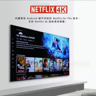小米精選鋪 HAKO PRO 電視盒 機上盒 hakopro  Netflix google 純净版 高清畫質