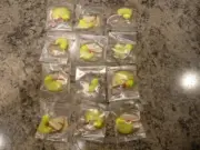 Danielson Salmon/Steelhead Easy Drifter Rigs 12 RIGS CLOWN