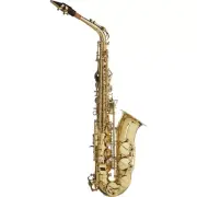 Stagg WS-AS215 Eb Alto Saxophone w/ Case, Includes Mouthpiece Reed Ligature Cap