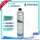 【Pentair 濱特爾】EVERPURE S100/S-100家用標準型淨水器濾心/濾芯1入 (台灣代理公司貨)★美國原裝進口★適用5-6人★有效除氯、異味、異色★水達人