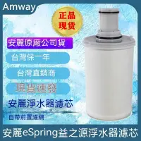 在飛比找蝦皮商城精選優惠-安麗 Amway 台保3年 益之源 濾芯 原裝正品净水器濾芯