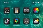 Apple iPhone 16 Pro Max 512 GB With TikTok App Installed