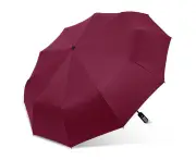 Umbrella Windproof Travel Umbrella Compact Folding Reverse Umbrella