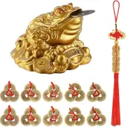 Feng Shui Money Frog Fortune Coin Money Three Legged Statue 10 Pieces Chinese Fe