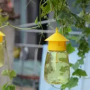 1Pc Fruit Fly Trap Reusable Fruit Fly Catcher Trap Bottle Garden Courtyard Tool