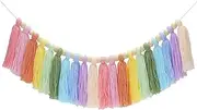 Anwyll Pastel Rainbow Boho Tassel Garland with Wood Bead for Birthday Party & Home Decor
