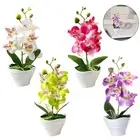 Artificial Phalaenopsis Fake Bonsai Potted Plant-Flower Orchid Floral Home-Deco#