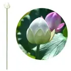 Long Stem Landscape Artificial Flower Wedding Decoration