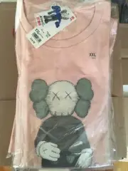 Uniqlo x Kaws Companion Tee Pink XXL