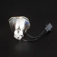 在飛比找Yahoo!奇摩拍賣優惠-投影機燈泡原裝愛普生ELPLP96 ELPLP88 ELPL