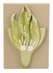 Monocot Flower Model (Wheat) - 15" x 9.5" -Mounted on Base - Eisco Labs