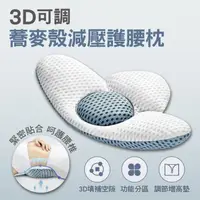 在飛比找松果購物優惠-3D可調蕎麥殼減壓護腰枕 (3折)