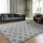 Fluffy Area Rug 3x4.8, Super Soft 3' x 4'10" (Rectangular), Light Grey/White