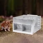 Reusable Double Door Mouse Traps Safe Automatic Mousetrap Mouse Catcher