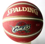 RARE 2010 SPALDING CAVALIERS LEBRON JAMES OUTDOOR BASKETBALL BALL SIZE 7 NEW !