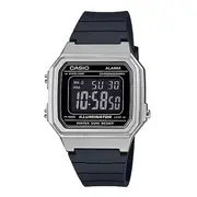Casio Vintage Watch in Silver