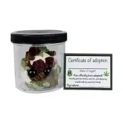 Adopt A Weed Plushie,Jar Funny Plush Desktop Accessories V3A22383