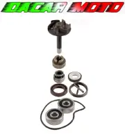 Water Pump Revision Kit Piaggio X9 Evolution 250 2004