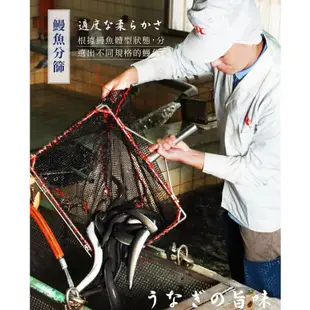 【屏榮坊】蒲燒鰻魚米漢堡禮盒 (4入/盒)｜輕食點心 大俠愛吃漢堡包！