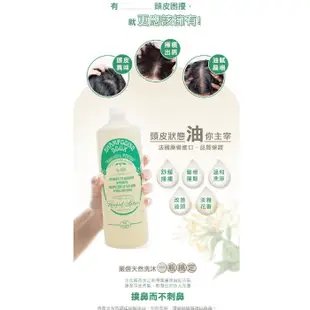 🚚満699免運 南法香頌  歐巴拉朵 忍冬蜂蜜洗髮精  1000ml / 特級橄欖油沐浴乳 1000ml