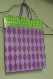 PIZZAZZ GIFT BAG PURPLE AND GREEN