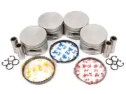 PISTON & RING SET STANDARD SIZE FOR NISSAN GA16DE 1.6L DOHC Pulsar N14 N15 92-00 (for: Nissan)