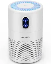 Air Purifiers for Home Large Room up to 1076 ft², H13 True HEPA Air Filter