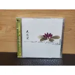 全新CD 大悲咒 梵音修心版 黃慧音 天女新世紀1 風潮音樂