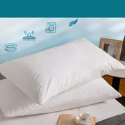 Twin Pack 100% Waterproof Pillow Protector Pillow Case Cotton Terry/Bamboo/Cotton Quilted 48*74CM