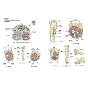 人體解剖全書 (第3版/附DVD)/Trail Guide to the Body/安德魯．貝爾 eslite誠品